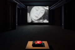 Insta_Dance-Of-Betrayal_Ausstellungsansichten_15