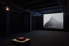 Insta_Dance-Of-Betrayal_Ausstellungsansichten_5