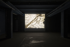 AMouthFullOfTeeth_FotoMKrauth_02