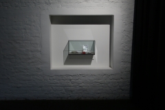 03 vitrine_total