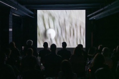 Labyrinth des Innenohrs, Foto: Kai Werner Schmidt