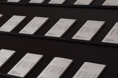 Latent-Space-Opening_Bilder-Juri_9