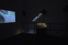 enceuntroInmediato2_PaulMüllerReyes