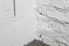 Filmwerkstatt_Documentation_wtitles15