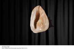 Filmwerkstatt_Documentation_wtitles5